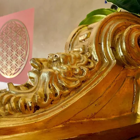 公寓 House Of Chariot - Near Piazza Maggiore *