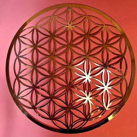 Апартаменты House Of Chariot - Near Piazza Maggiore